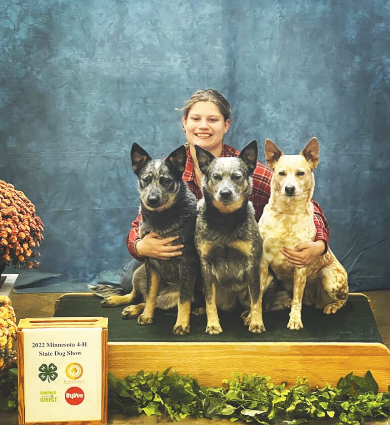 Minnesota Lake teen shows dogs at 4-H State | News, Sports, Jobs - Vimarsana News